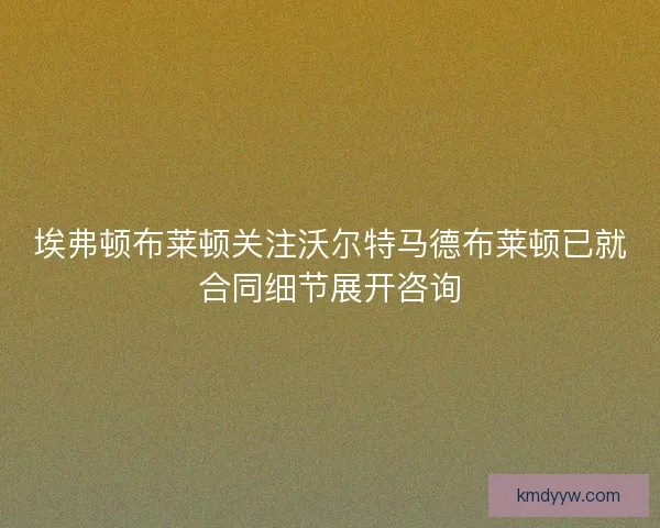 埃弗顿布莱顿关注沃尔特马德布莱顿已就合同细节展开咨询