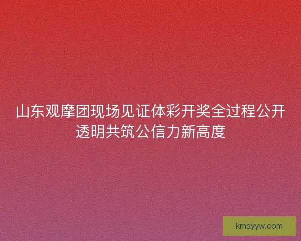 山东观摩团现场见证体彩开奖全过程公开透明共筑公信力新高度