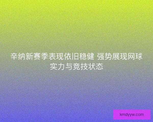 辛纳新赛季表现依旧稳健 强势展现网球实力与竞技状态